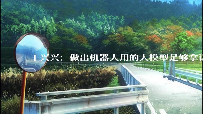 王兴兴：做出机器人用的大模型足够拿诺贝尔奖_宇树_访谈_科技